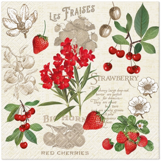 Obrúsky PAW L 33x33cm Summer Fruits